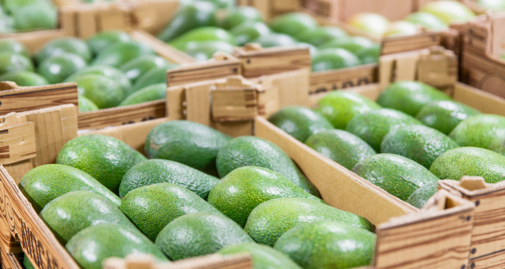 Conheça o programa de incentivo para se tornar uma empresa exportadora