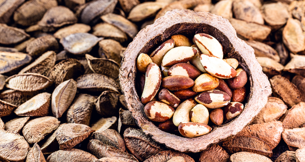 Ingredientes Amazônicos: potência em nutrição e sustentabilidade na indústria alimentícia