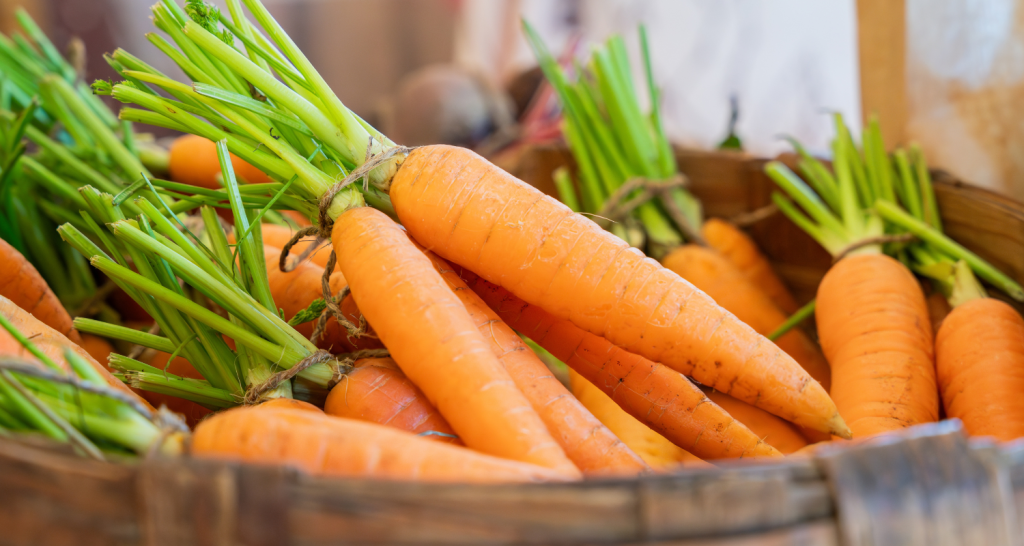 Nutrição Sustentável: os benefícios dos alimentos orgânicos e os desafios da produção