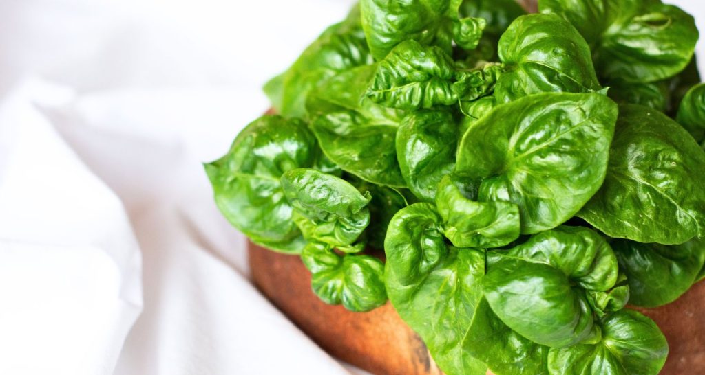 Agrião: Comida de A-Z