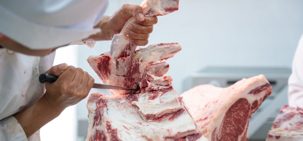 Como realizar o descarte de ossos de frigorífico e açougue de forma sustentável?