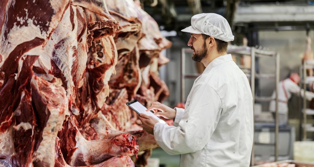 Os frigoríficos da Amazônia conseguem vender carne livre de desmatamento?