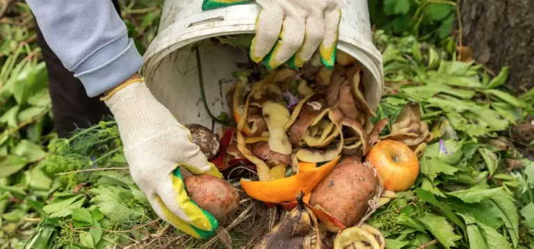 Pessoas realizando compostagem com resíduos orgânicos, incluindo cascas de frutas e legumes em um balde.