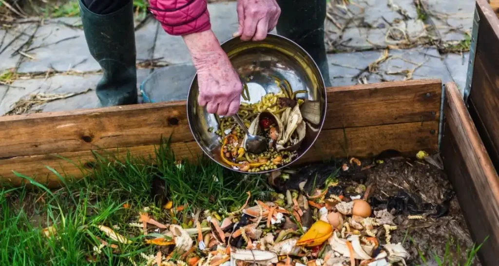Pessoa colocando restos de comida em uma composteira, destacando a importância da compostagem para a sustentabilidade e a redução de resíduos orgânicos.