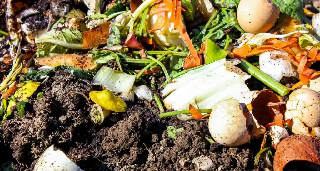Imagem de composto orgânico contendo restos de vegetais e frutas, ideal para a reciclagem de resíduos alimentares. 
