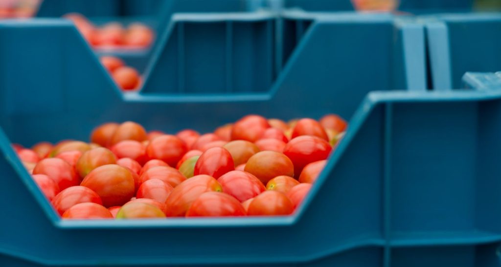 O papel da operação na qualidade do alimento