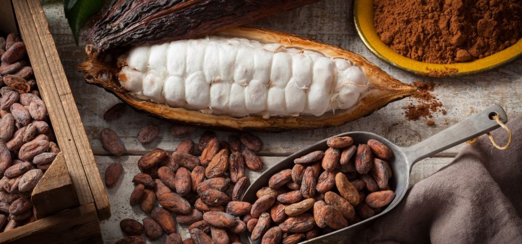 Guia de ingredientes dos biomas brasileiros: Amazônia, Cerrado e Mata Atlântica