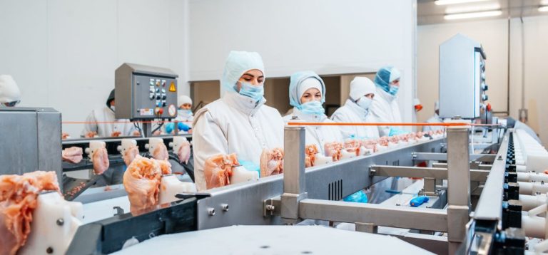 Processo de produção de alimentos com profissionais utilizando equipamento de segurança em uma linha de produção de carne.