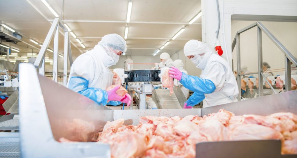 Soluções inteligentes para frigoríficos