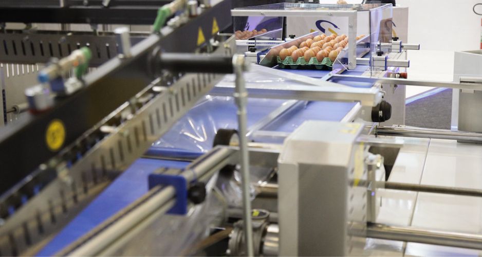 Soluções sustentáveis impulsionam a indústria de embalagens e logística