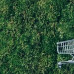 Carrinho de supermercado vazio no meio de uma vegetação densa, simbolizando o eco-score e consumo sustentável, em um cenário natural e urbano.
