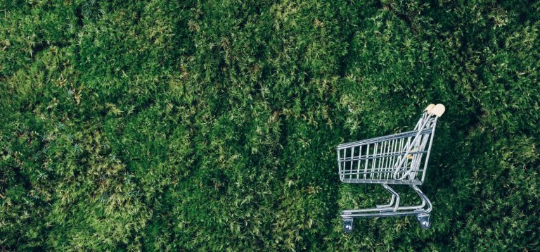 Carrinho de supermercado vazio no meio de uma vegetação densa, simbolizando o eco-score e consumo sustentável, em um cenário natural e urbano.