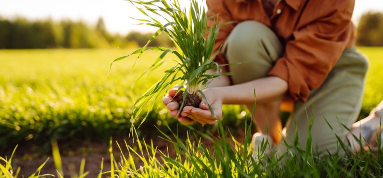 Pessoa plantando mudas de árvores em campo aberto, promovendo o meio ambiente e sustentabilidade com cultivo da natureza ao ar livre. A imagem reflete o tema de "florestas comestíveis".
