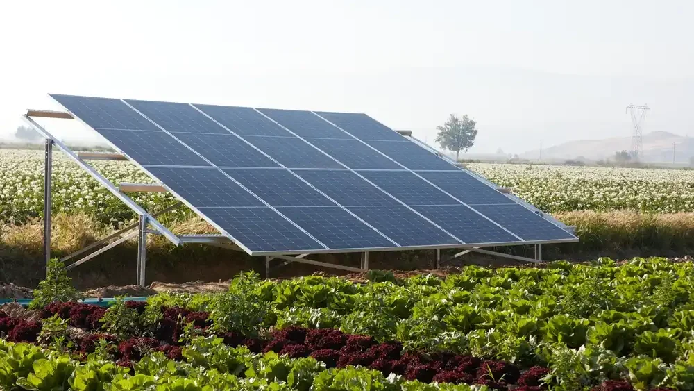 Painel solar instalado em um campo de agricultura, demonstrando energia limpa e sustentável, com vegetação ao redor.
