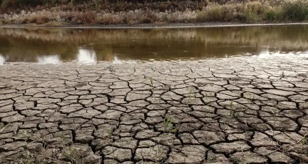 Imagem de solo seco e rachado em um ambiente que demonstra os efeitos da seca, com pouca vegetação e água escassa ao fundo, evidenciando a crise ambiental e a importância da preservação.