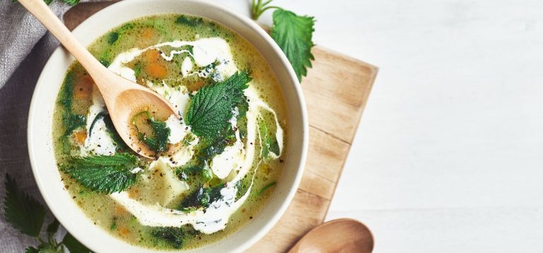 Sopa de ervas frescas com especiarias, acompanhada de folhas de hortelã e um toque de creme, opção saudável para tendências de cardápios.
