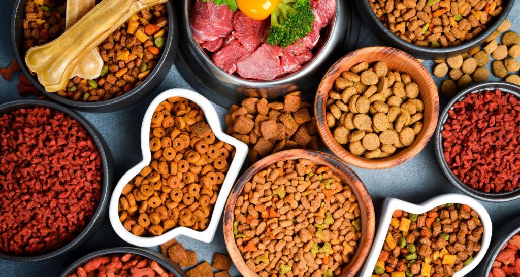FiSA 2025 estreia espaço exclusivo para pet food em momento estratégico do setor