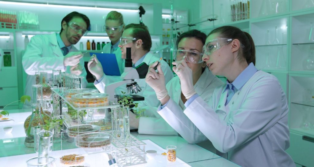 Ingredientes: economia, inovação e regularização são pilares estratégicos para a indústria de alimentos e bebidas