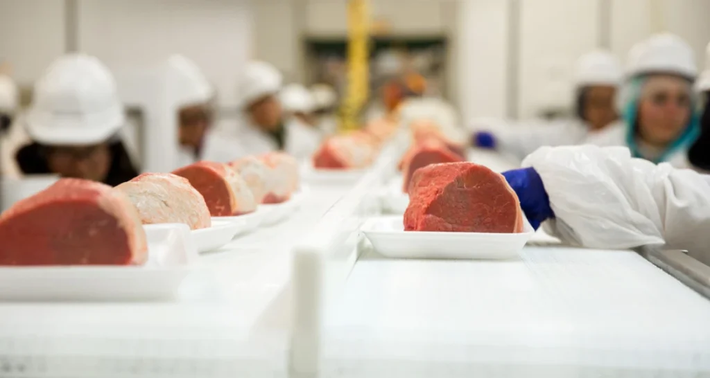 Equipe de trabalho acompanhando o processo de produção de carne em uma fábrica, profissionais usando EPIs em ambiente industrial de alimentos.
