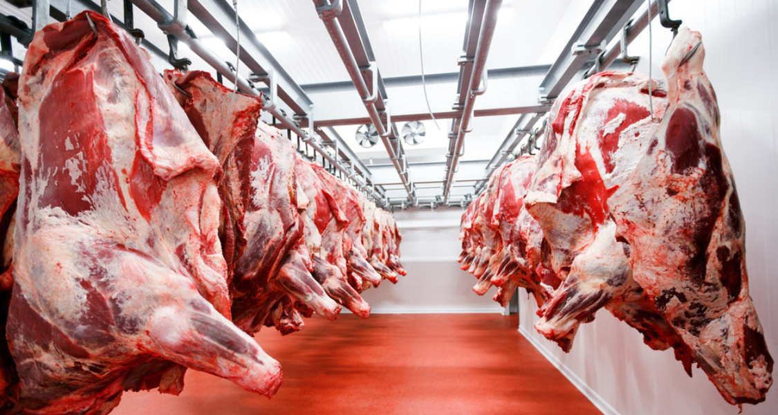 A imagem mostra diversas carcaças de carne bovina penduradas em trilhos suspensos dentro de uma câmara frigorífica industrial, ambiente comum em frigoríficos e centros de distribuição de carnes.