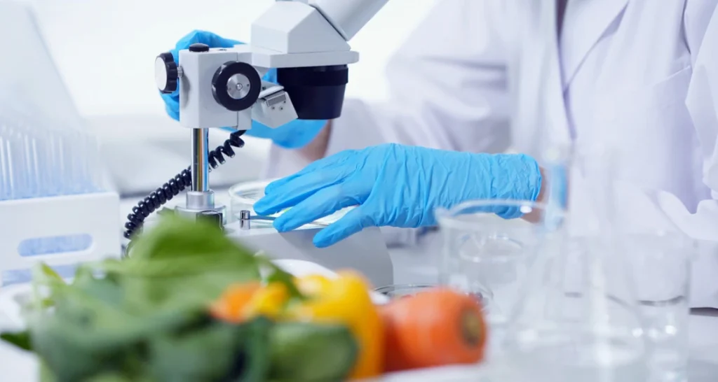 Pesquisador em laboratório utilizando microscópio para análise de alimentos frescos, como cenoura, tomate e folhas verdes, promovendo segurança alimentar e inovação na ciência de alimentos.