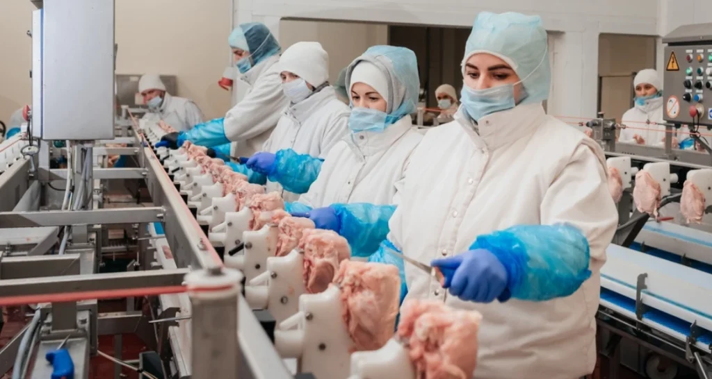 A imagem mostra uma linha de produção em frigorífico, onde trabalhadores com roupas de proteção, toucas, máscaras e luvas manipulam cortes de carne — possivelmente carne de frango — em um ambiente controlado e higienizado. Esse cenário representa a etapa de processamento industrial da carne, comum em empresas do setor alimentício.