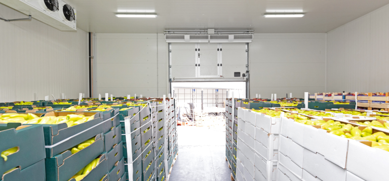 A imagem mostra o interior de uma câmara fria de armazenagem refrigerada, utilizada para conservar produtos perecívei