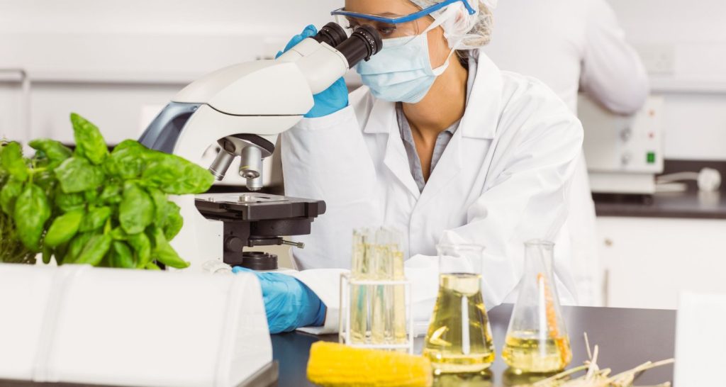 Como corporações usam foodtechs de universidades públicas para crescer