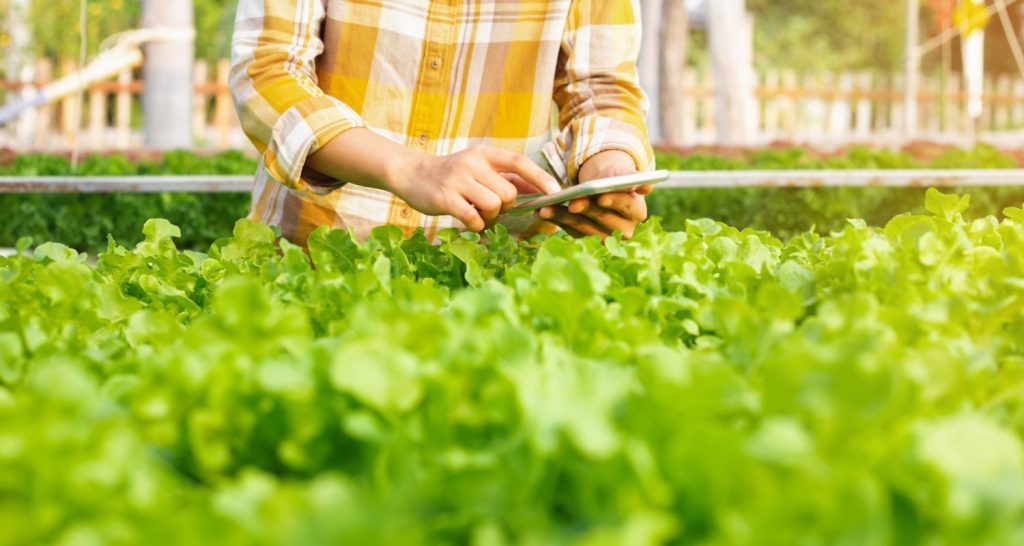 O futuro da alimentação está na origem