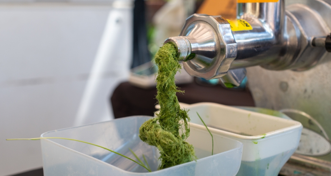 A imagem é um close-up focado no processo de extração de suco por meio de uma máquina de prensagem a frio (ou cold-press).