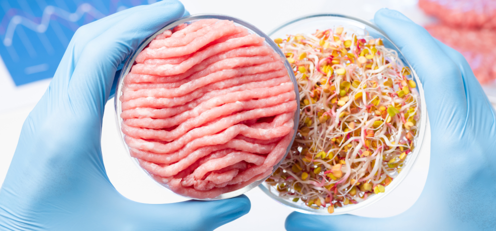 Como desenvolver alimentos híbridos com proteína animal e vegetal