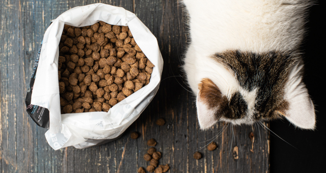 um gatinho pet e sua ração dentro de um saco branco