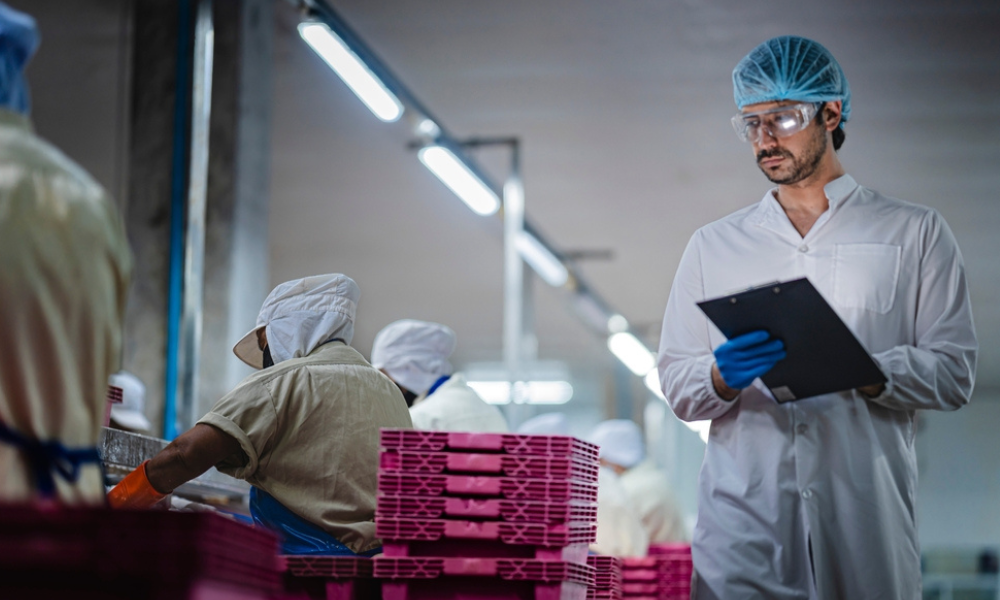 A imagem mostra um ambiente industrial de produção, com trabalhadores usando uniformes de proteção, toucas e luvas, enquanto realizam atividades em uma linha de processamento.