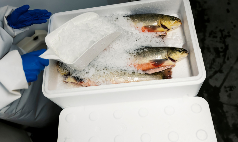 Uma imagem em close-up que foca na etapa de preservação do produto.