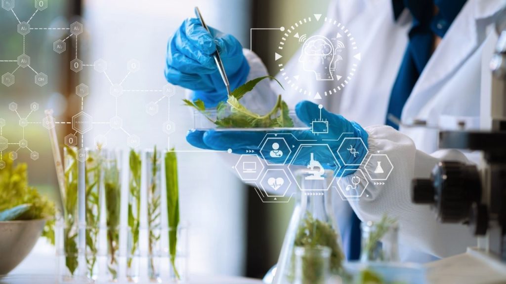 Suplementação de precisão: a revolução começa no ingrediente