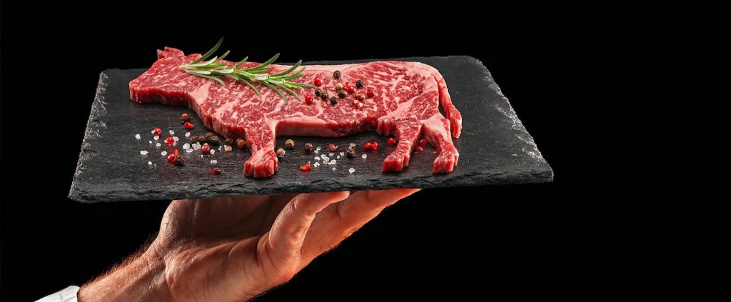 Brasil lidera produção e exportação de carne bovina, mas enfrenta desafios de sustentabilidade [Ebook]