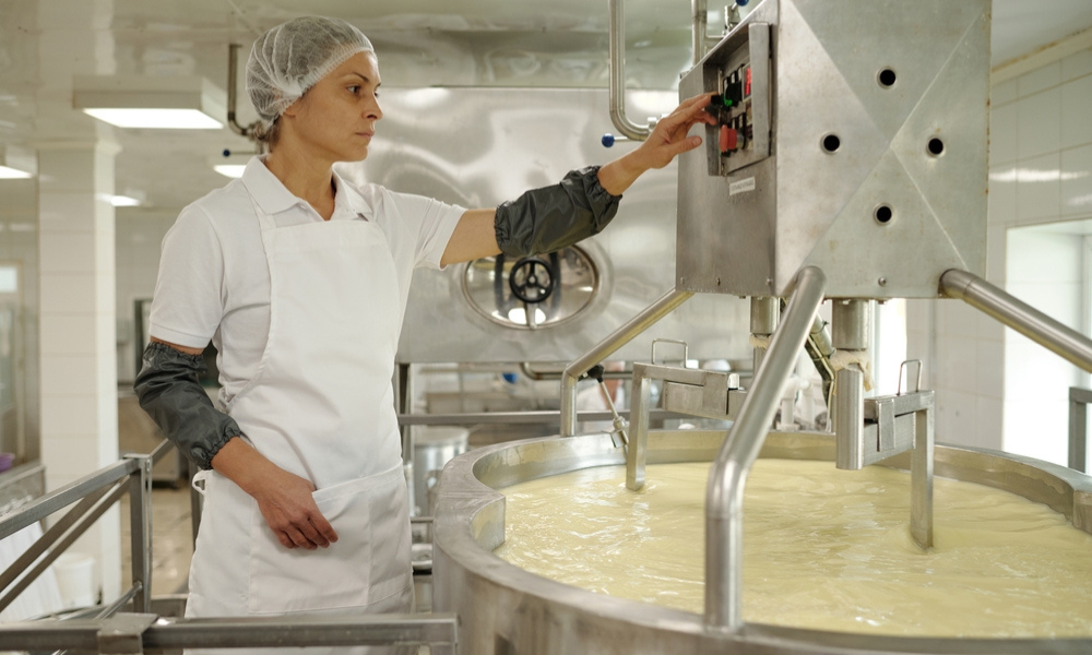 imagem mostra a fase de produção ativa, possivelmente em um laticínio.