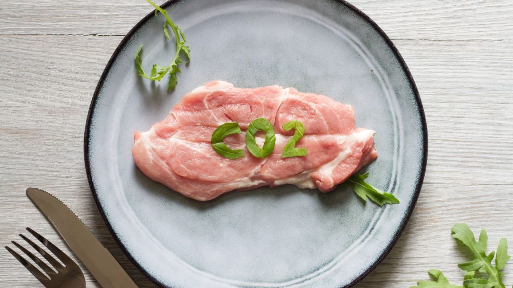 Como obter certificação de carne baixo carbono no Brasil