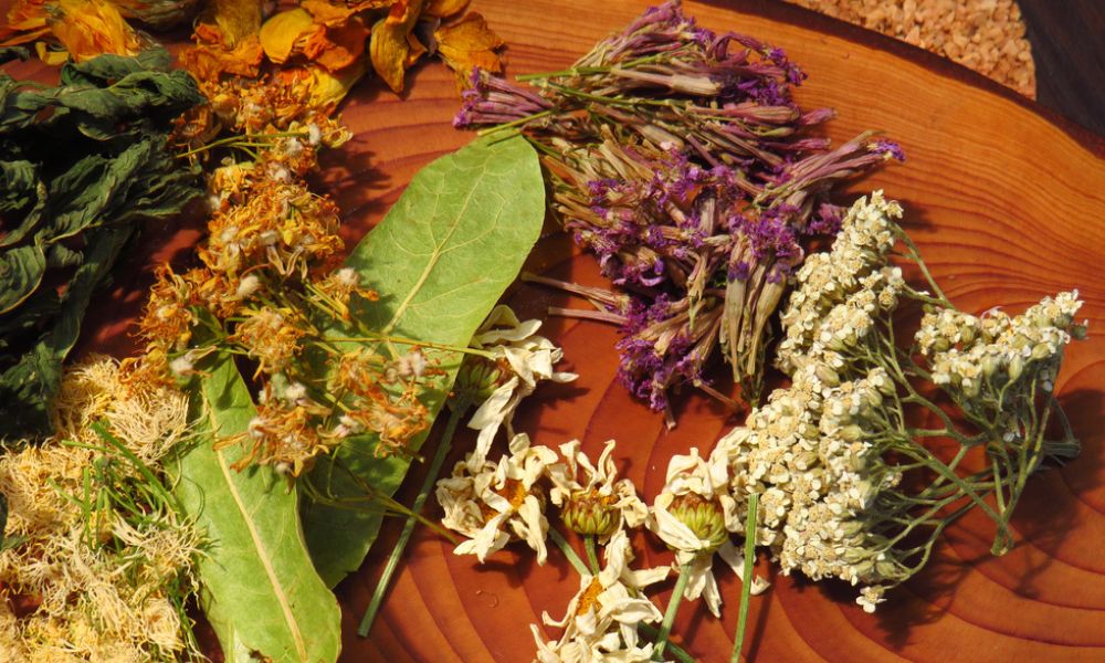 Uma variedade de flores e folhas medicinais desidratadas (como camomila e calêndula) espalhadas sobre uma base de madeira para infusões ou fitoterapia.