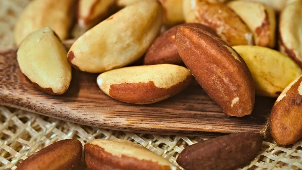 O potencial da biodiversidade brasileira no mercado global de alimentos