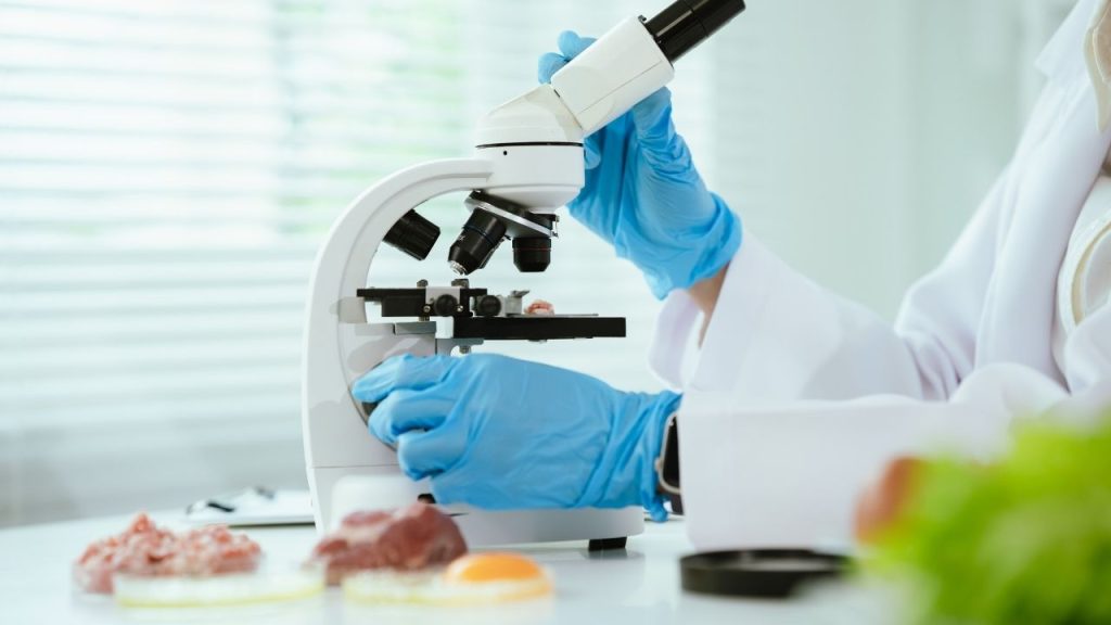 Proteínas ampliam espaço no mercado e desafiam indústria a unir inovação, sabor e escala