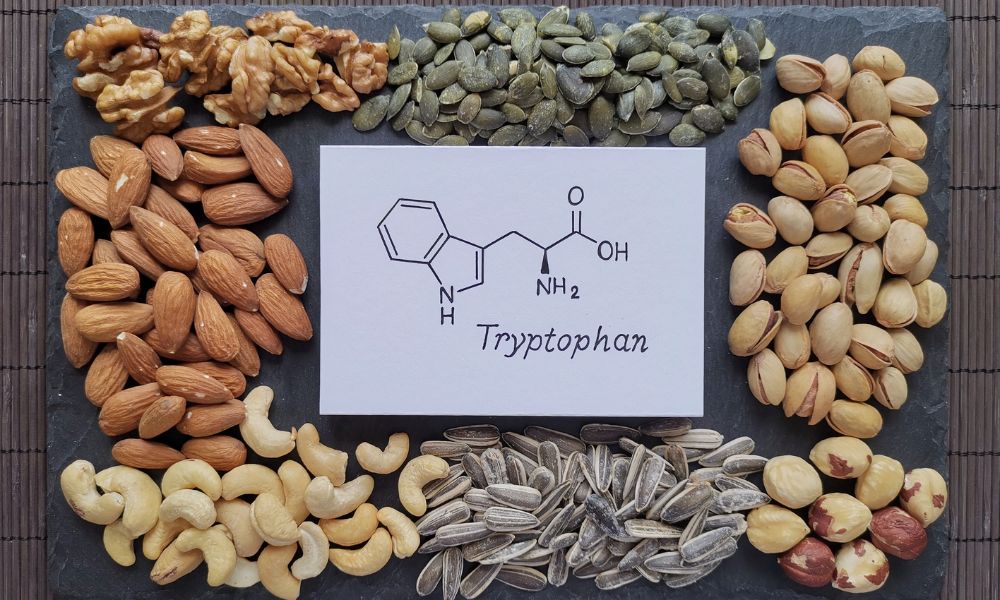 Tábua de pedra escura servindo de moldura para uma folha de papel central com a fórmula química e nome do aminoácido Tryptophan, cercada por nozes, amêndoas, castanhas-de-caju, pistaches, sementes de abóbora e girassol.