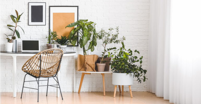 Saiba mais sobre o design biofílico na marcenaria