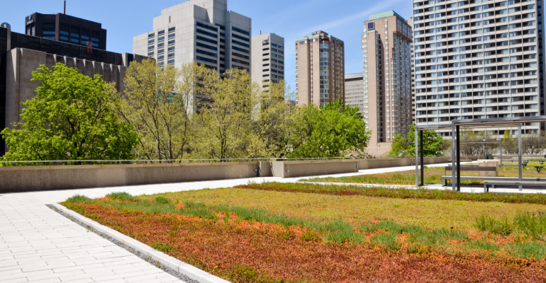 Telhado verde para casas e prédios