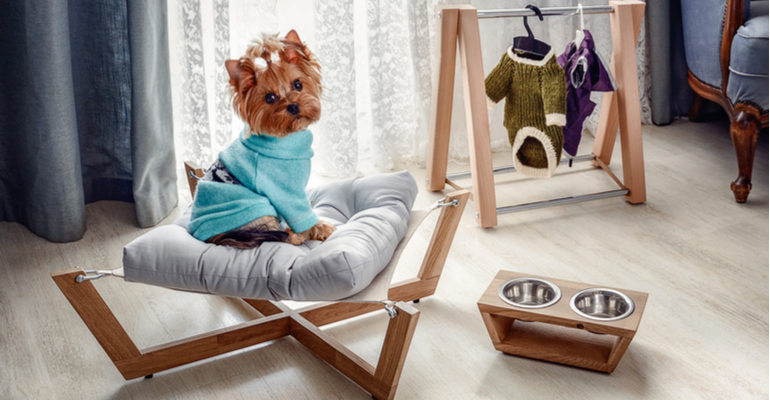 Decoração e móveis especiais para casas com pets