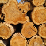 Tudo sobre a madeira Teca.png