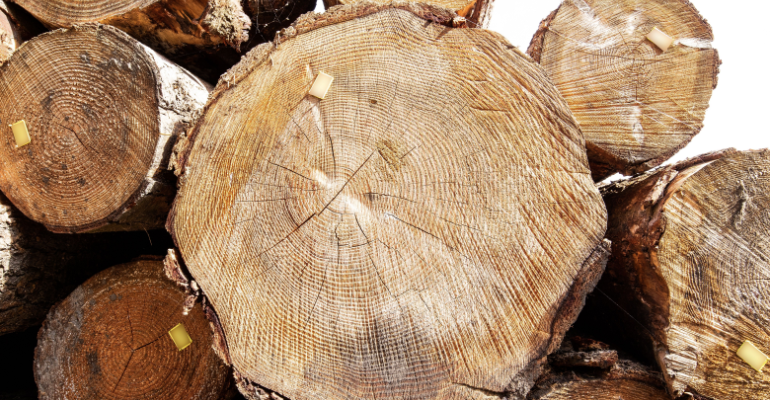 A importância da certificação florestal na indústria moveleira