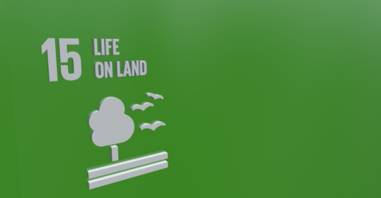 Conheça os ODS – Objetivos de Desenvolvimento Sustentável da ONU