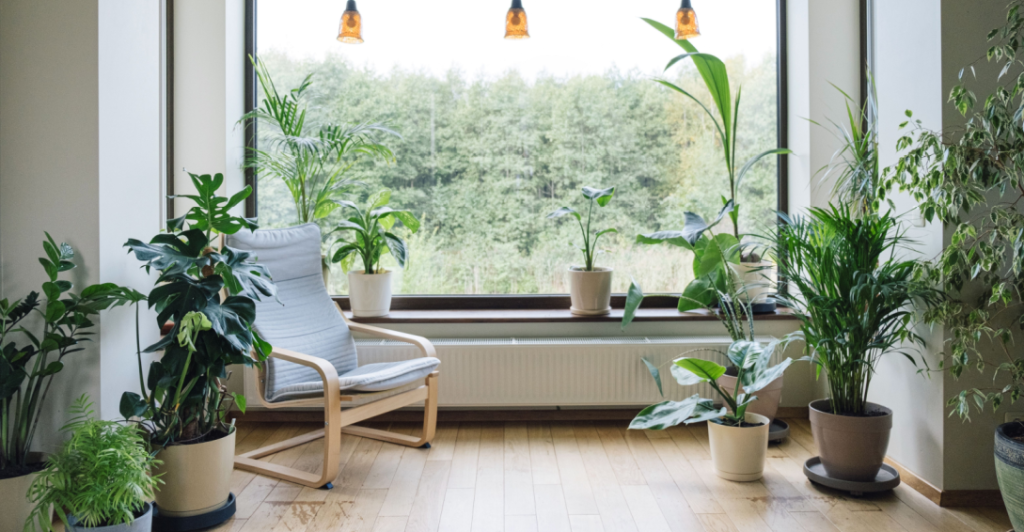 O que é biofilia no design de interiores? 