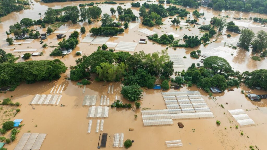 Que tipo de alerta o El Niño acende para a indústria moveleira?  